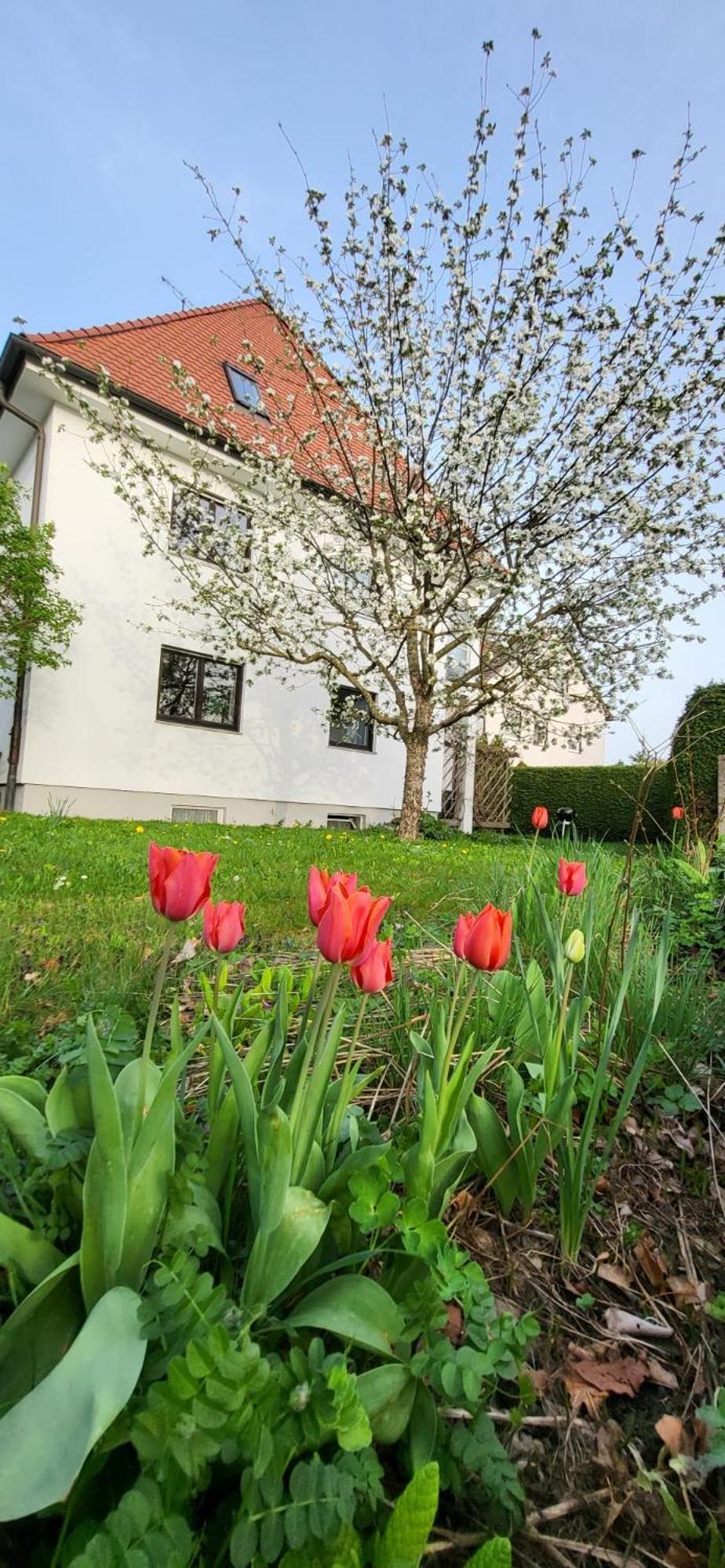 Allgaeu Retreat Bad Wörishofen Eksteriør billede